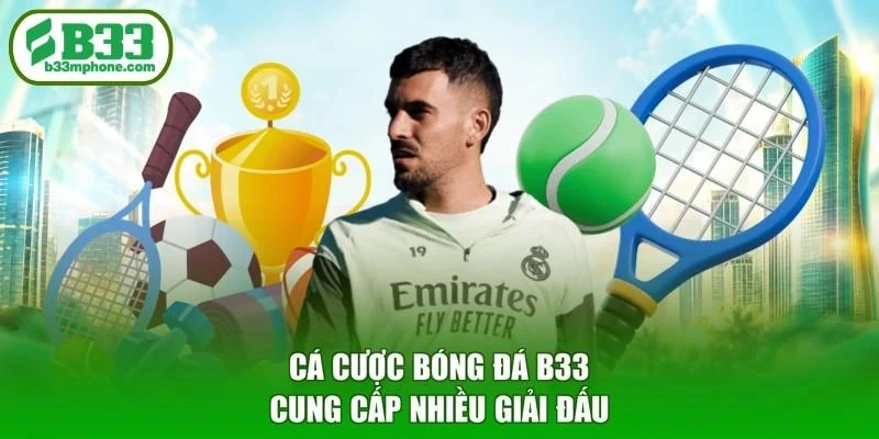Cá cược bóng đá B33 cung cấp nhiều giải đấu