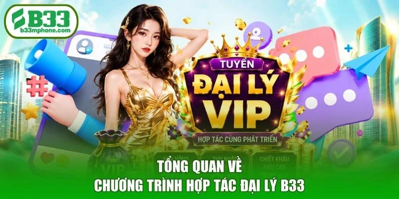 Tổng quan về chương trình hợp tác đại lý B33